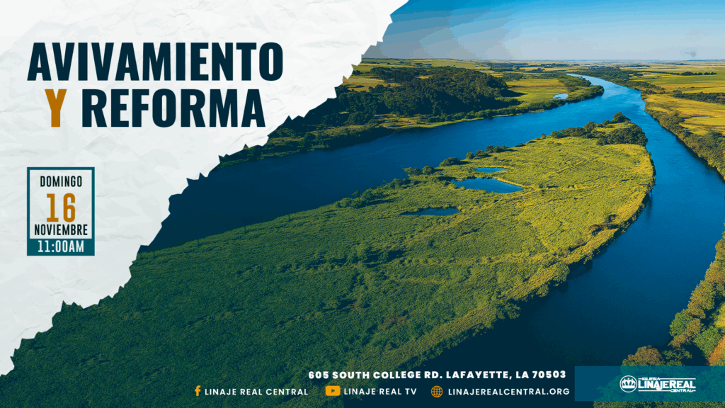 16 de noviembre lpe2